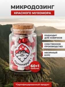 Мухомор красный в Кемерово